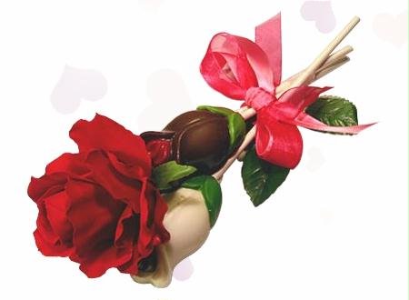chocolate-rose.jpg