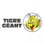 tigre-geant